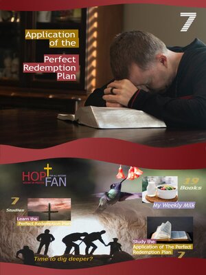 cover image of Application of the Perfect Redemption Plan 7